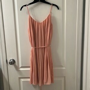 Naked Zebra pale pink pleated dress.